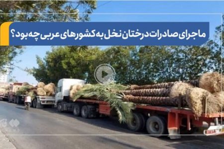 فیلم| ماجرای صادرات درختان نخل به کشورهای عربی چه بود؟