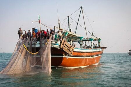 شخم‌زدن کف خلیج فارس با «ترال» / ذخایر دریایی تهدید می‌شوند