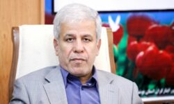 رئیس ستاد قالیباف در استان بوشهر منصوب شد